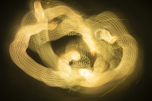 Hanabi